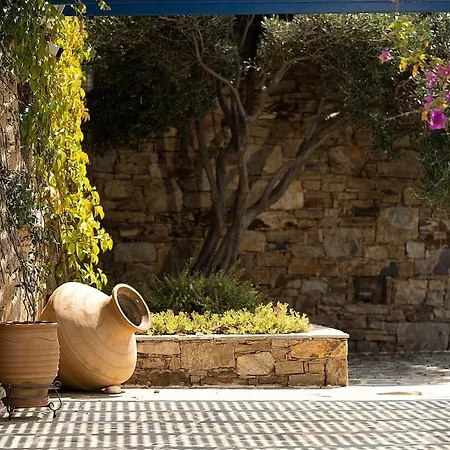 Elanora Stelida (Naxos)
